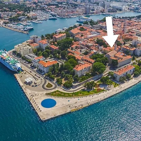 Golden Sea Organ Apartment